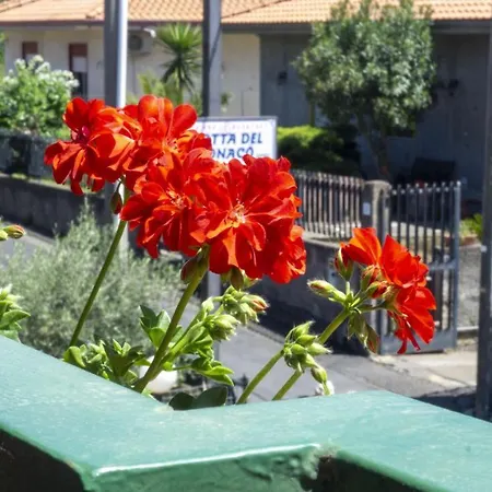 Bed & Breakfast Grotta Del Monaco